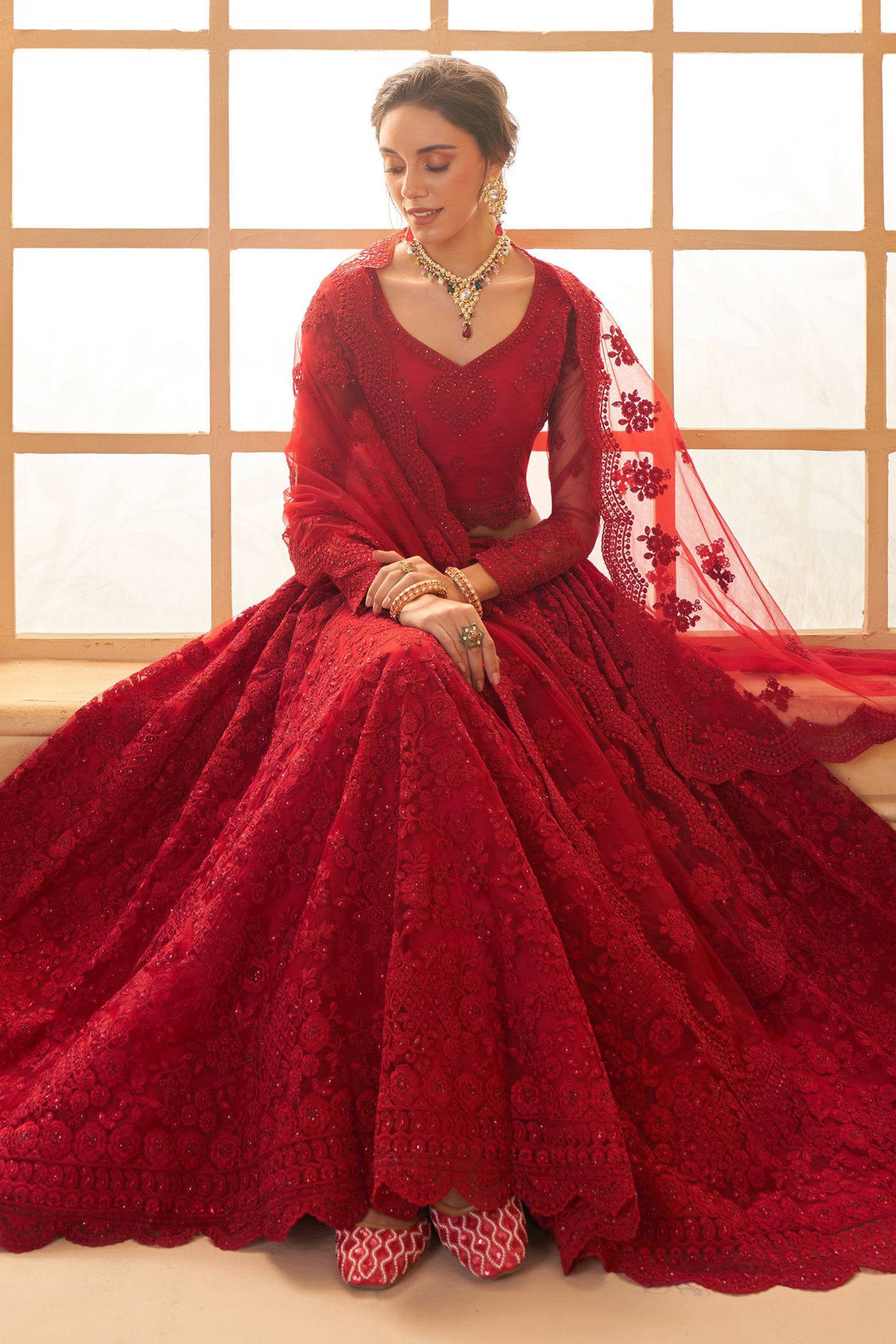 Net Red Thread Lehenga Choli