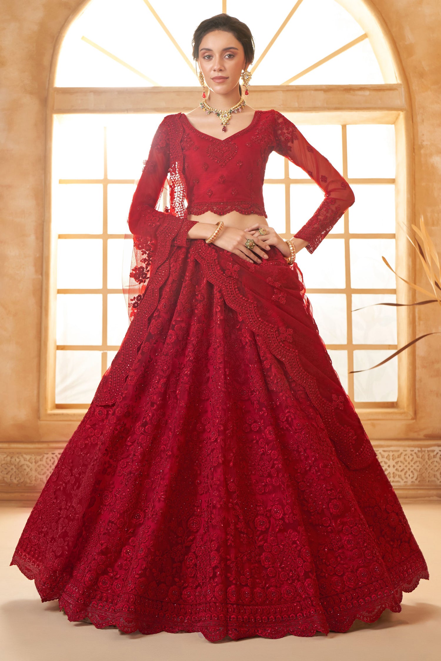 Net Red Thread Lehenga Choli